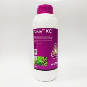 Галіл КС (1л)