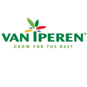 VAN IPEREN