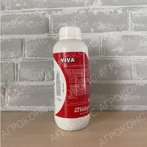 Viva