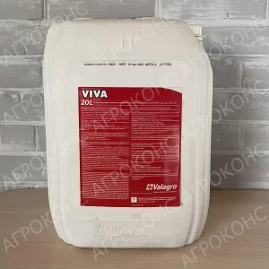 Viva