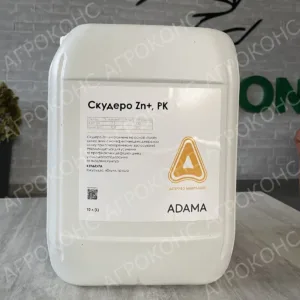 Скудеро Zn+