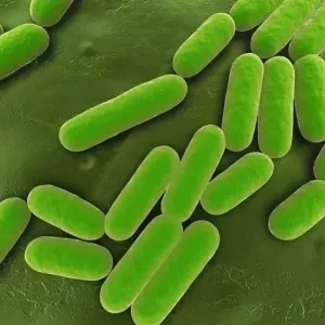 Біофунгіциди